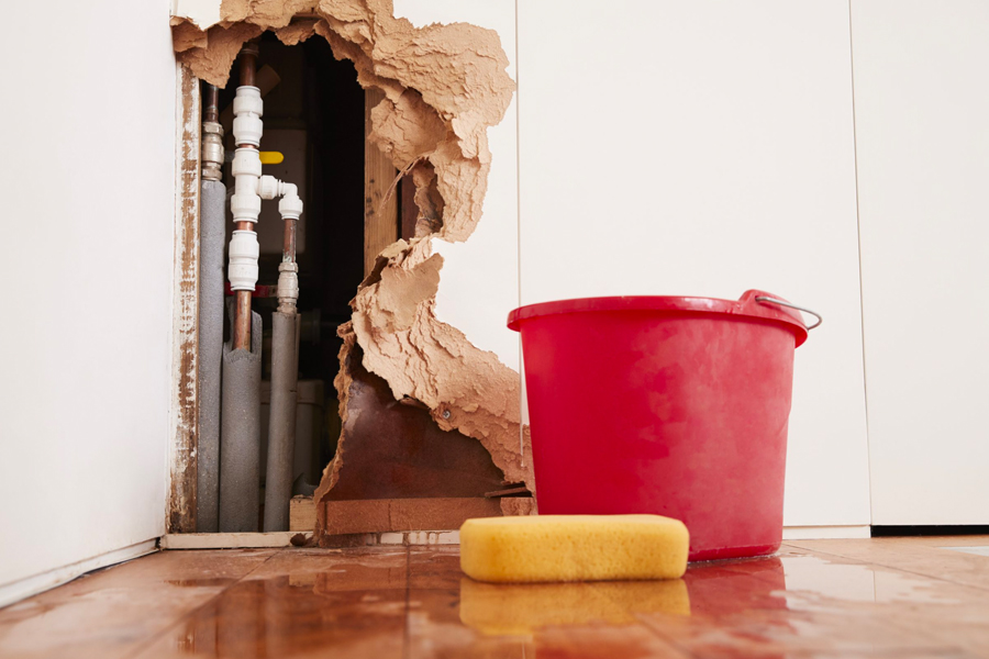 The Crucial Step of Dehumidification in Water Damage Restoration