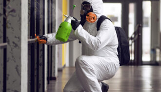 Top 6 Benefits of Professional Mold Removal Services on Long Island