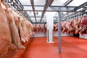Designing and Building Fruits and Vegetables Cold Storage with China Services
