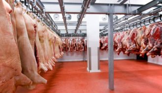 Designing and Building Fruits and Vegetables Cold Storage with China Services